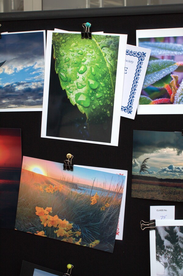 Spring Show 2026 The weather Photography Class